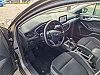 Ford Focus Focus Clipper Trend Business Edition  1.0 Ecoboos thumbnail