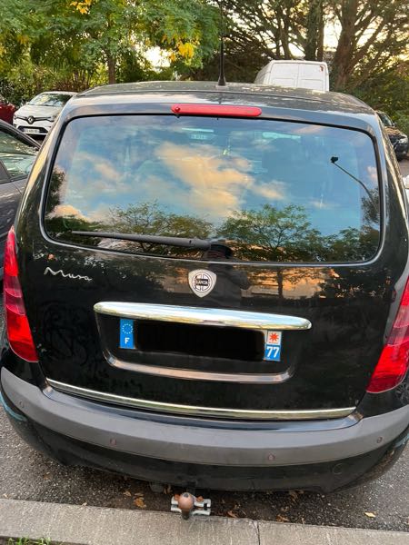 Lancia Musa Lancia musa en très bonne étayé