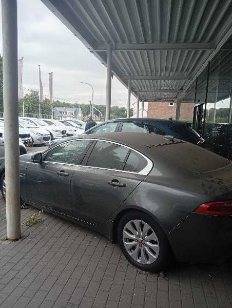 Jaguar Xe 2.0D E-PERFORMANCE 163 8CV PRESTIGE AUTO