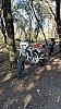 BETA MOTARD RR thumbnail