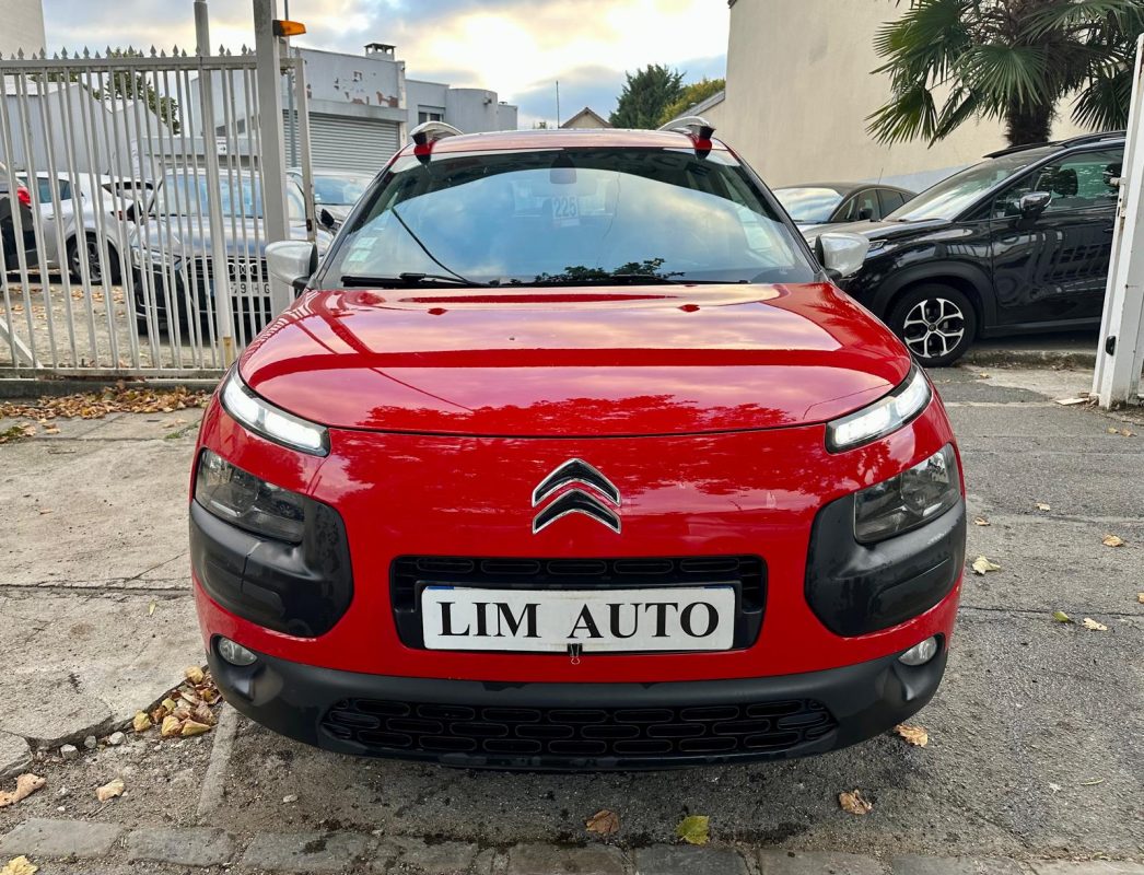 Citroen C4 1.6 BlueHDi 100 RIP CURL **1ère MAIN**