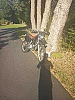 HONDA 50 CRE BAJA enduro thumbnail