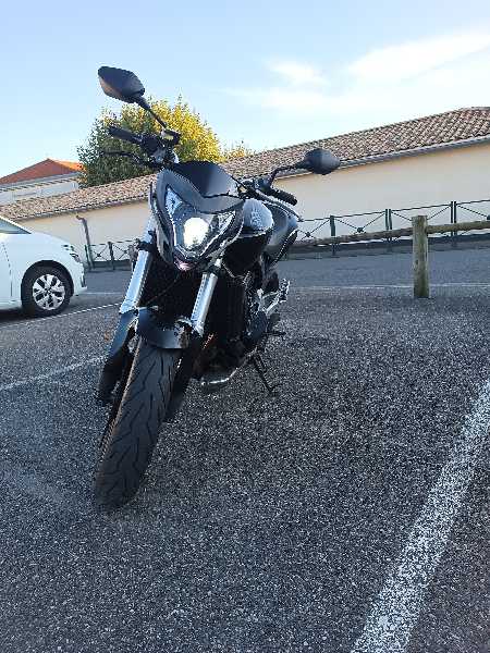 HONDA CB F HORNET