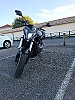 HONDA CB F HORNET thumbnail