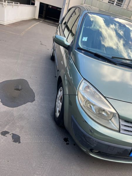Renault Scenic II 1.9 DCI 120 LUXE DYNAMIQUE