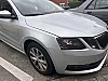 Skoda Octavia 2019 thumbnail