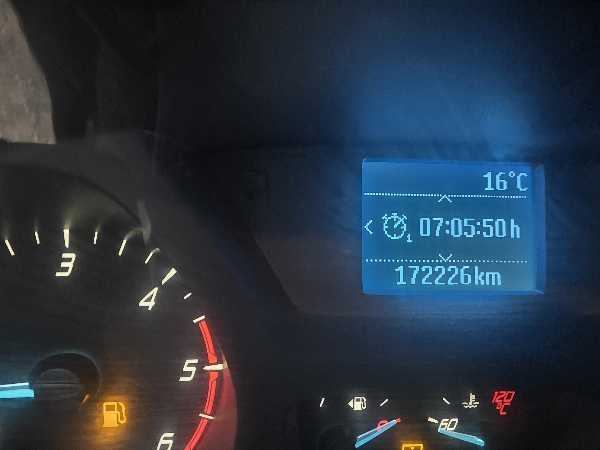 Ford Transit IV (2) 2.0 ECOBLUE 130 350 L2H3 AWD TRAIL