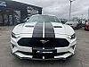 Ford Mustang Mustang 2.3 - 57.266 KM - Garantie 12 mois thumbnail