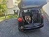 Opel Zafira Tourer III 2.0 CDTI FAP 165 ECOFLEX START/STOP COSMO PACK thumbnail