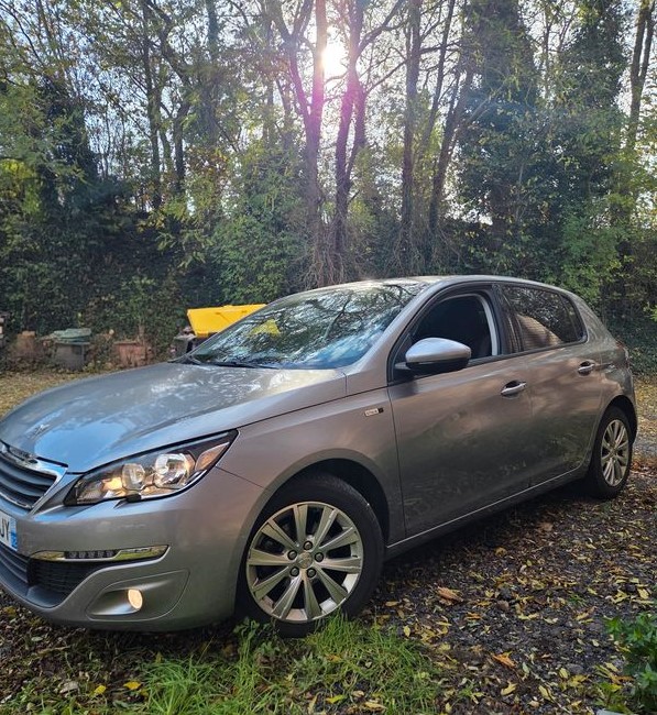 Peugeot 308 II (2) 1.6 BLUEHDI 100 S&amp;S STYLE