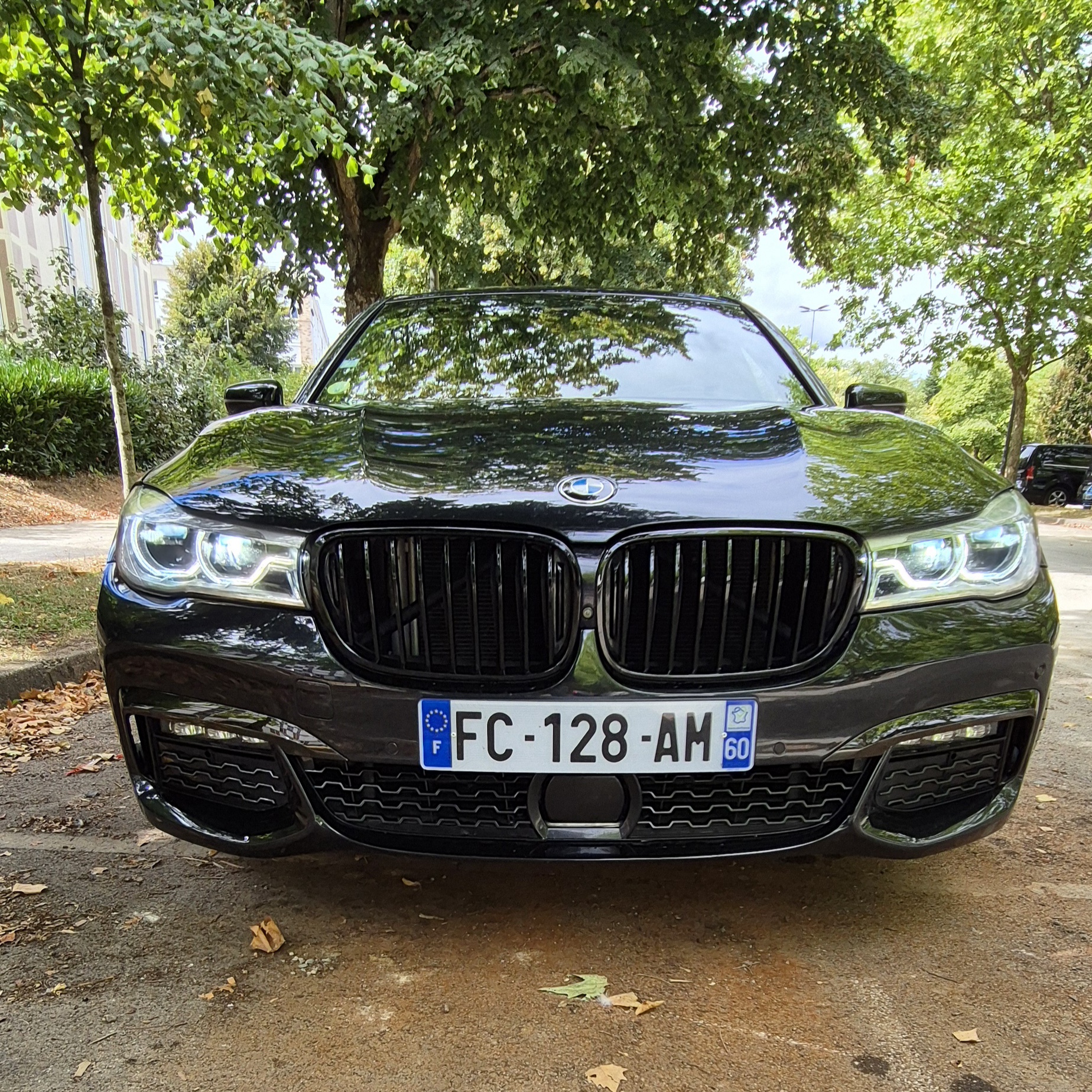 Bmw Serie 7 (G11) 730D XDRIVE 265 M SPORT BVA8