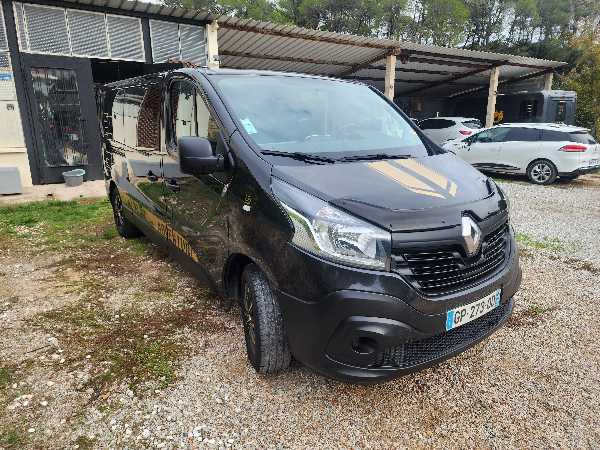 Renault Trafic 9 places ( 60000 kms) 125cv carnet entretien depuis le neuf