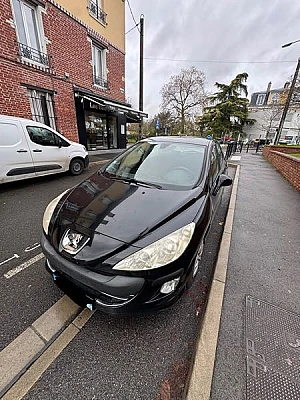 Peugeot 308 1l6