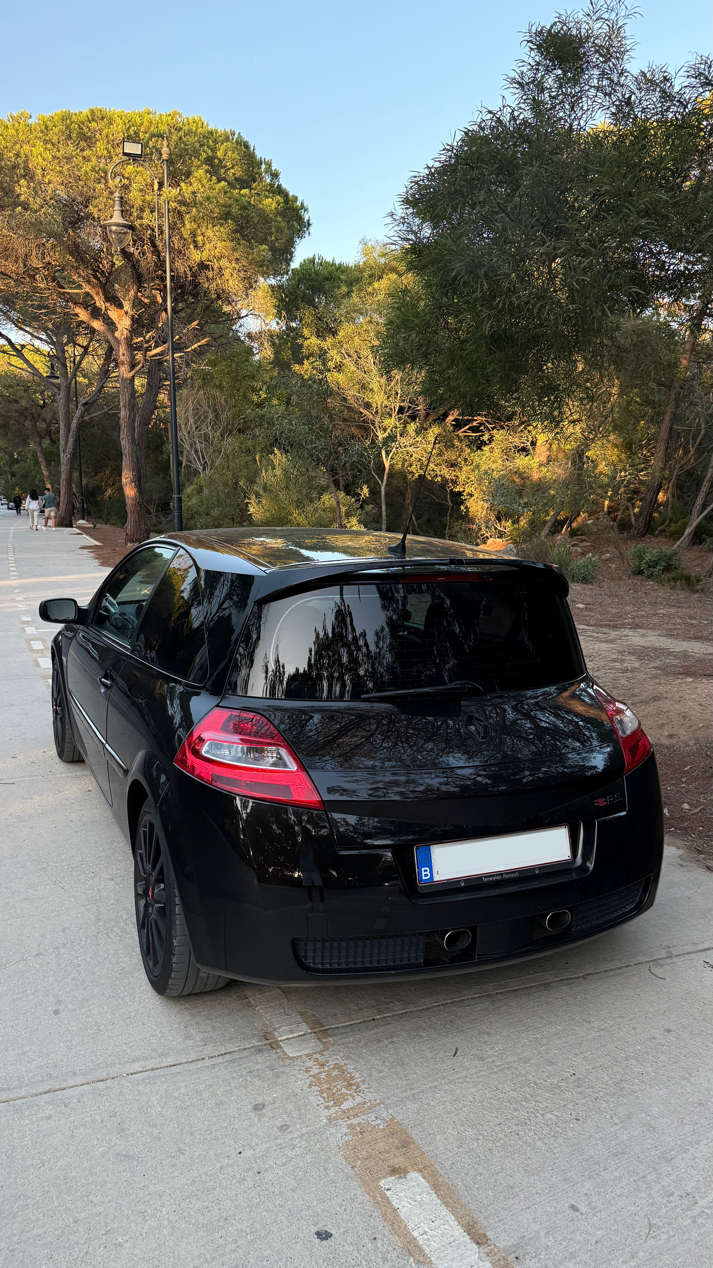Renault Megane II (2) 2.0 T 230 RS F1 TEAM R26 3P