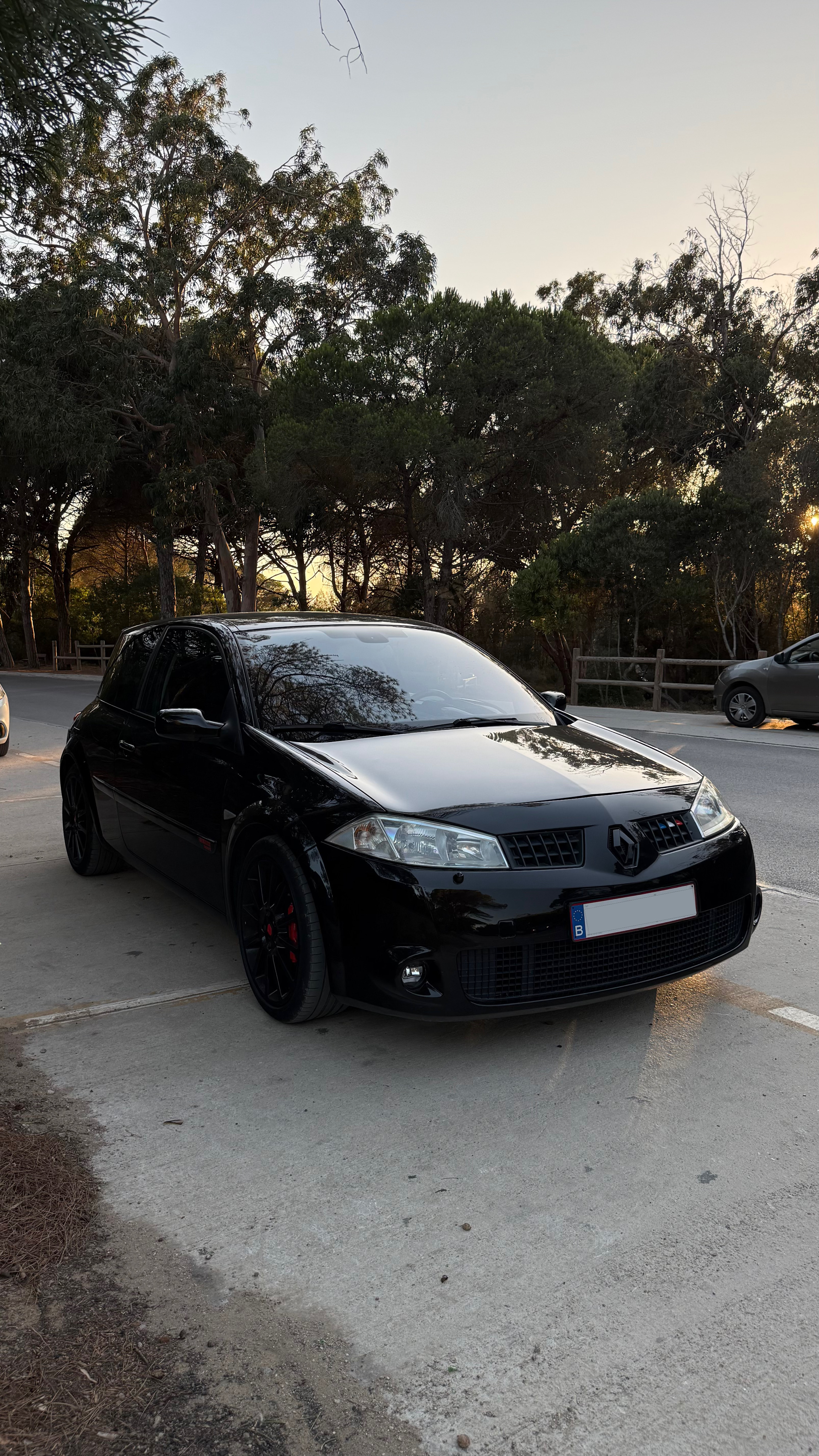 Renault Megane II (2) 2.0 T 230 RS F1 TEAM R26 3P