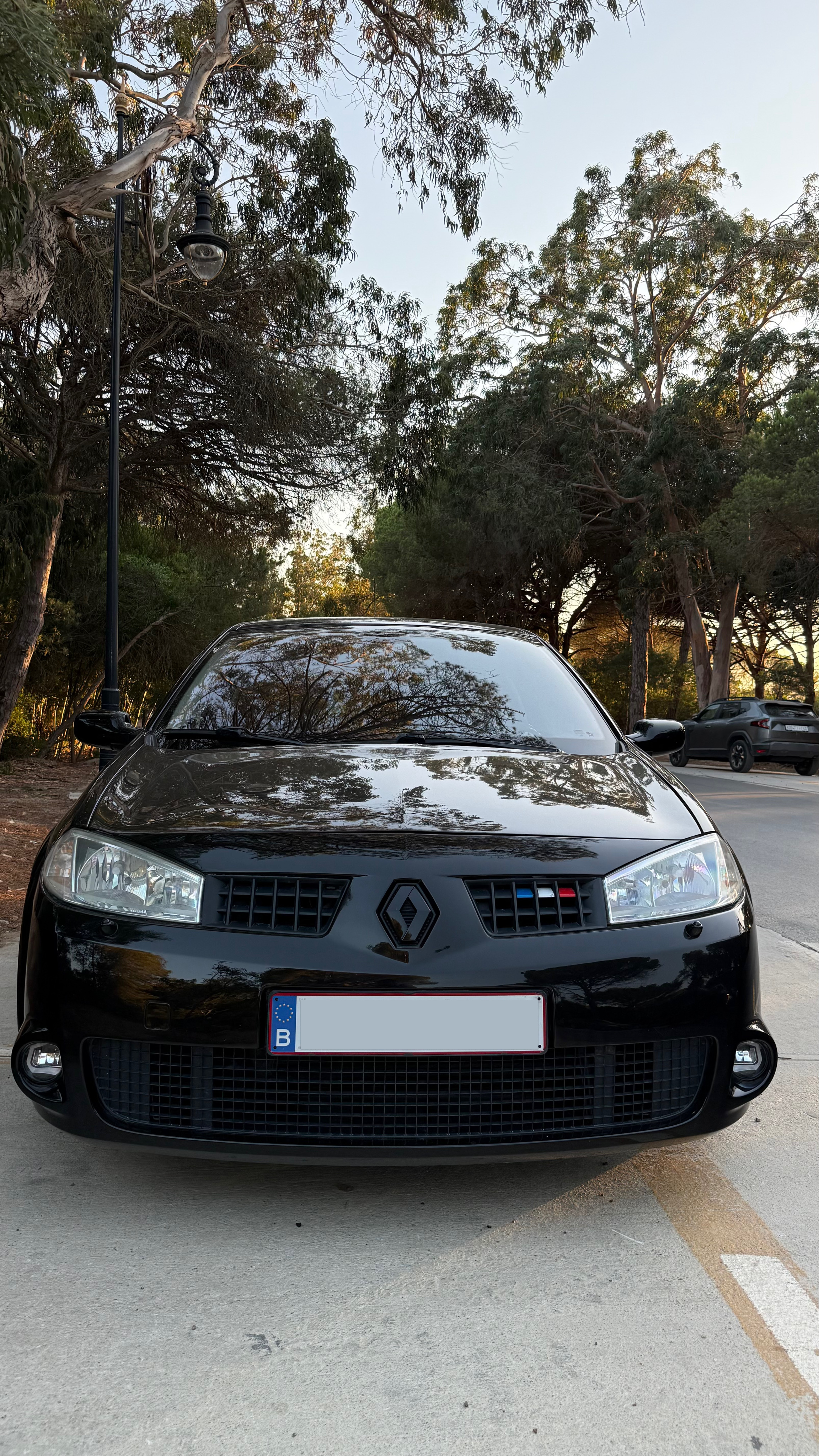 Renault Megane II (2) 2.0 T 230 RS F1 TEAM R26 3P