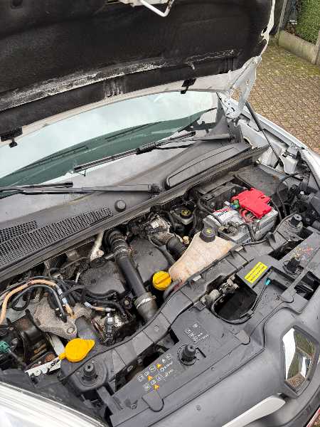 Renault Kangoo 2019