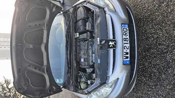 Peugeot 307 (2) 1.6 16V 110 RWC 5P