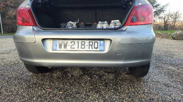 Peugeot 307 (2) 1.6 16V 110 RWC 5P