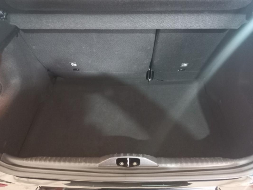 Citroen C3 III BlueHDi 100 BVM PLUS