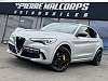 Alfa Romeo Stelvio 2.9 T Q4 Quadrifoglio /CARBON /CARPLAY /PANO / ACC thumbnail