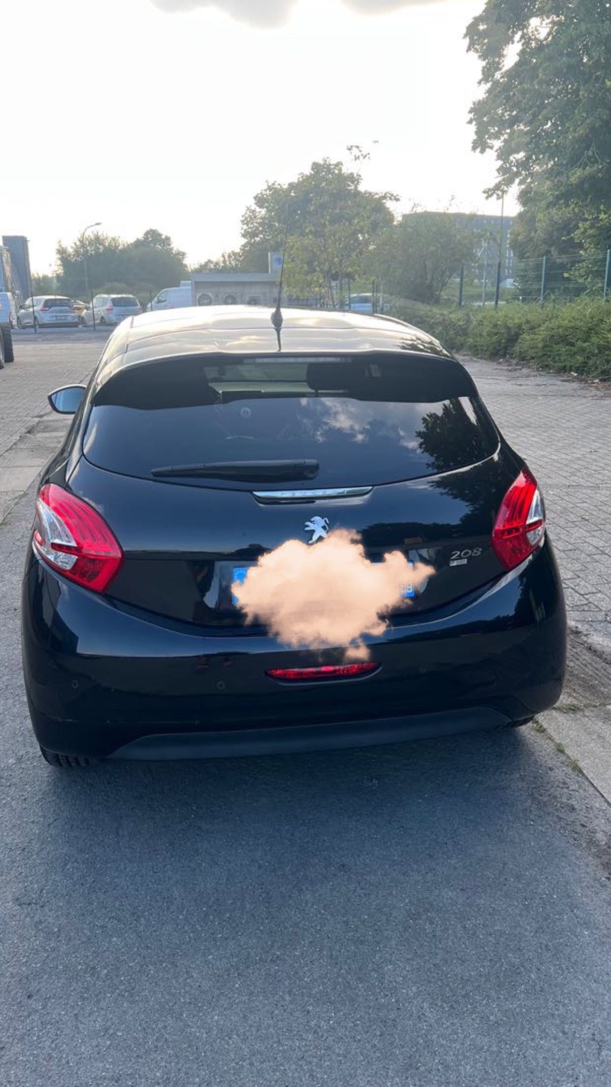 Peugeot 208 1.6 E-HDI FAP 92 4CV FELINE 5P