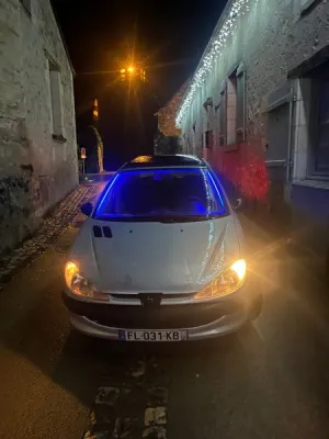 Peugeot 206 2Lhdi