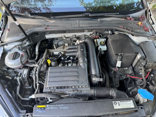 Volkswagen Golf Golf 7 (VII) Éthanol