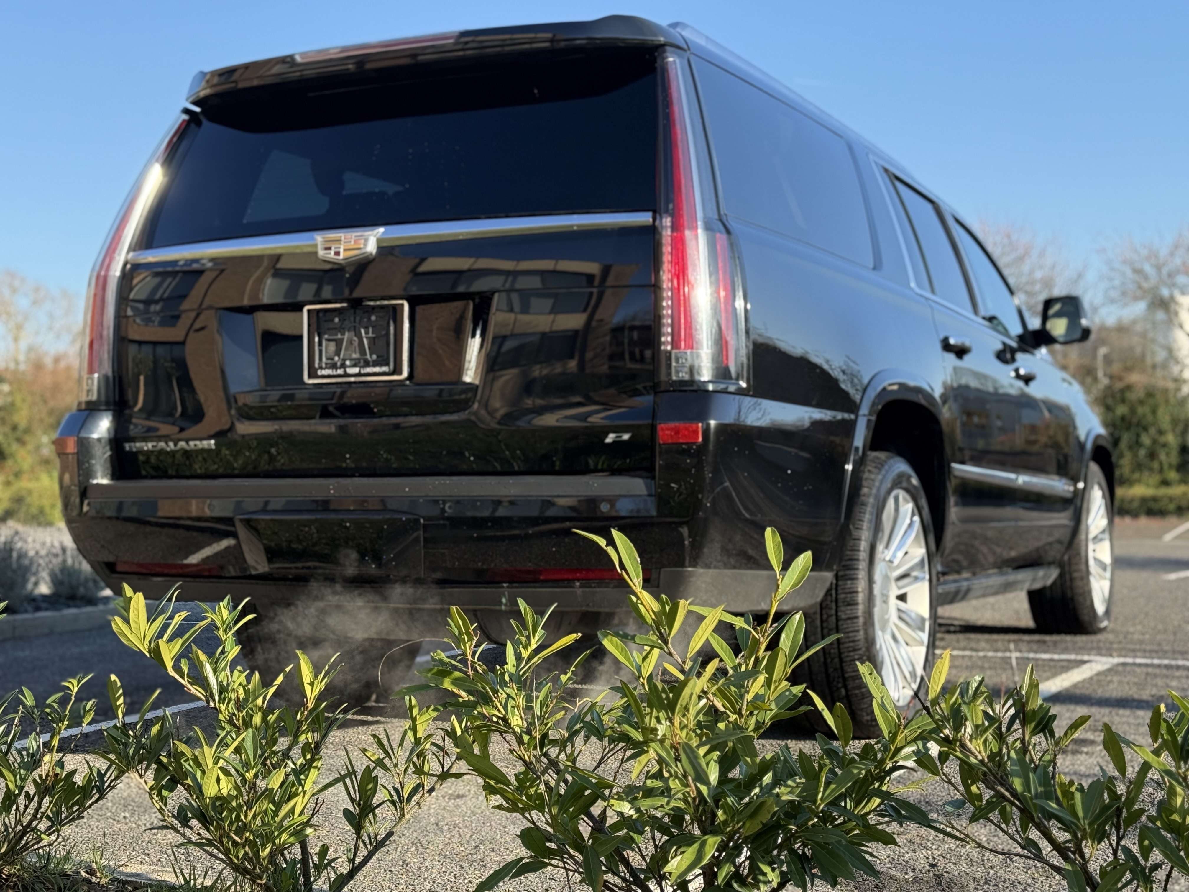 Cadillac Escalade Escalade 6.2i V8 Platinum ESV//longue