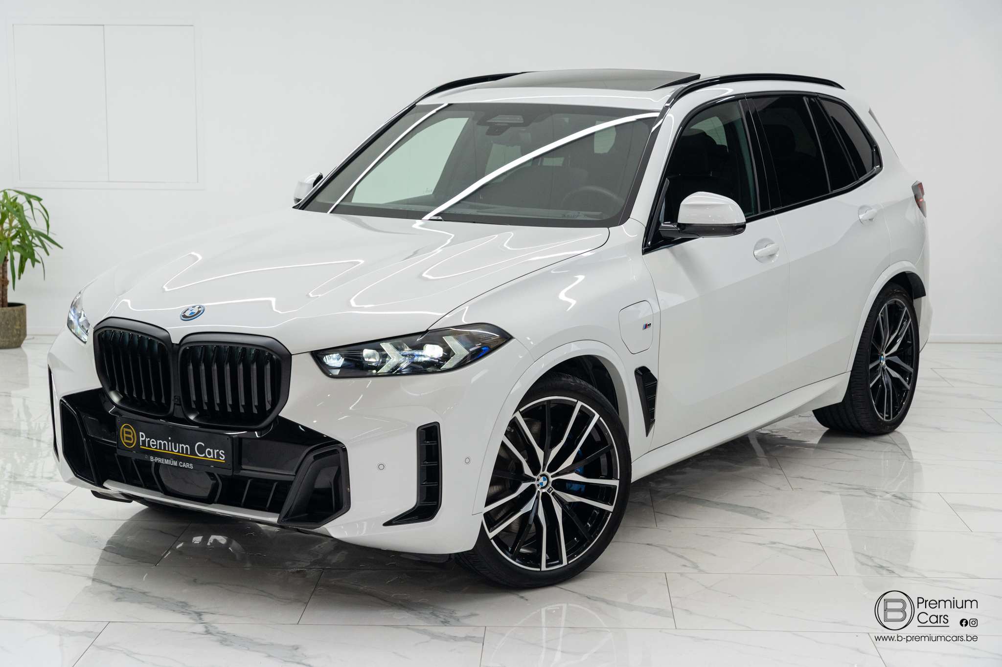 BMW X5 50e hybrid M pro pack! Pano, H&K, Acc, Hud! Sfeer!