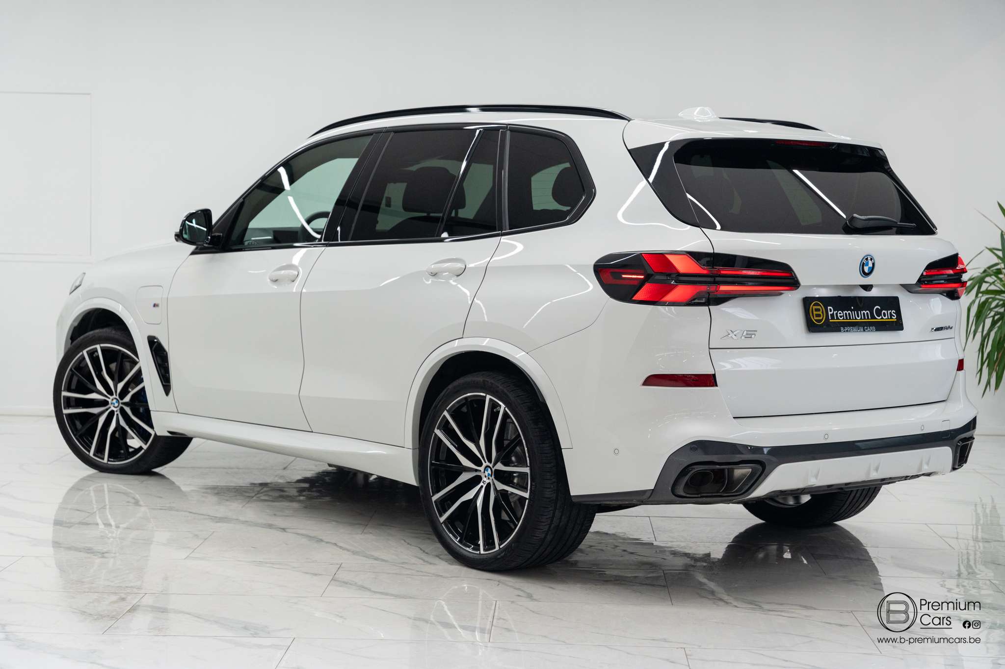 BMW X5 50e hybrid M pro pack! Pano, H&K, Acc, Hud! Sfeer!