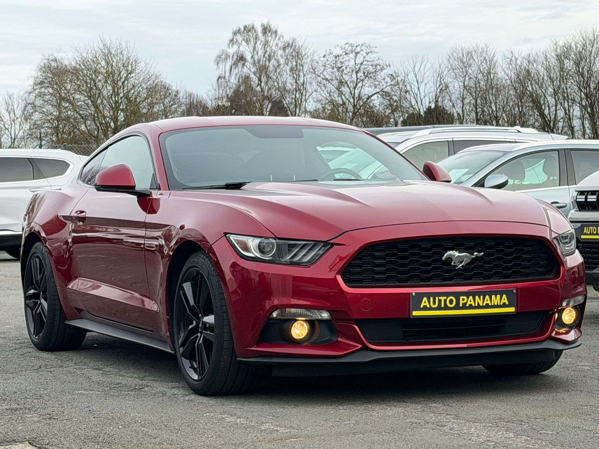 Ford Mustang 2.3 EcoBoost BOITE AUTO SIEGE DOUBLE TONT CLIM GPS