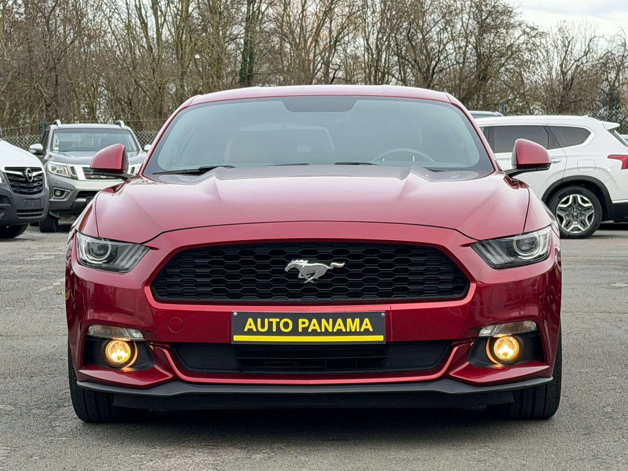 Ford Mustang 2.3 EcoBoost BOITE AUTO SIEGE DOUBLE TONT CLIM GPS
