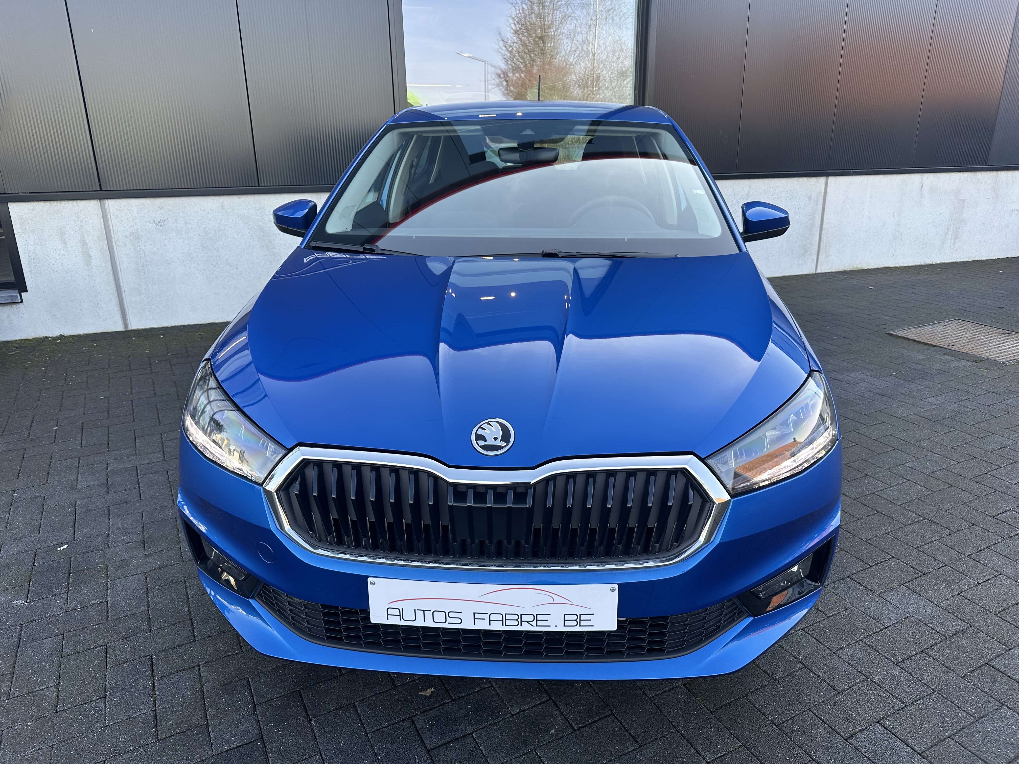 Skoda Fabia 1.0i  DSG  130years Camera GPS Verw zetels NIEUW