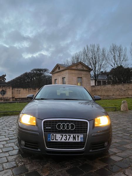 Audi A3 II (2) SPORTBACK 2.0 TFSI 200 AMBITION