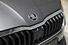 Skoda Scala Scala 1.0 TSI Selection DSG thumbnail