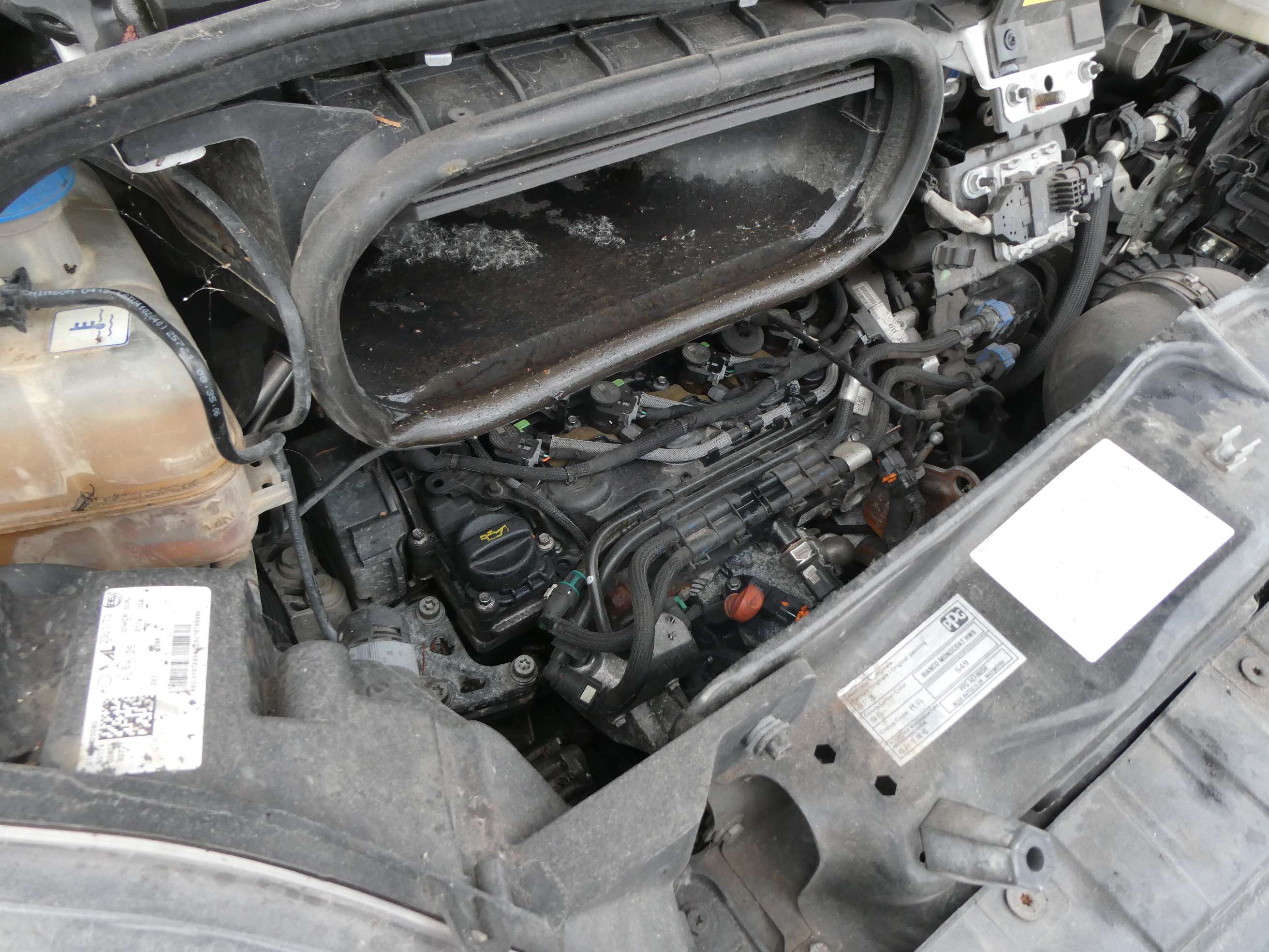 Peugeot Boxer 2.2hdi *DEFEKTE MOTOR*MOTEUR CASSÉ*ENGINE BROKEN*
