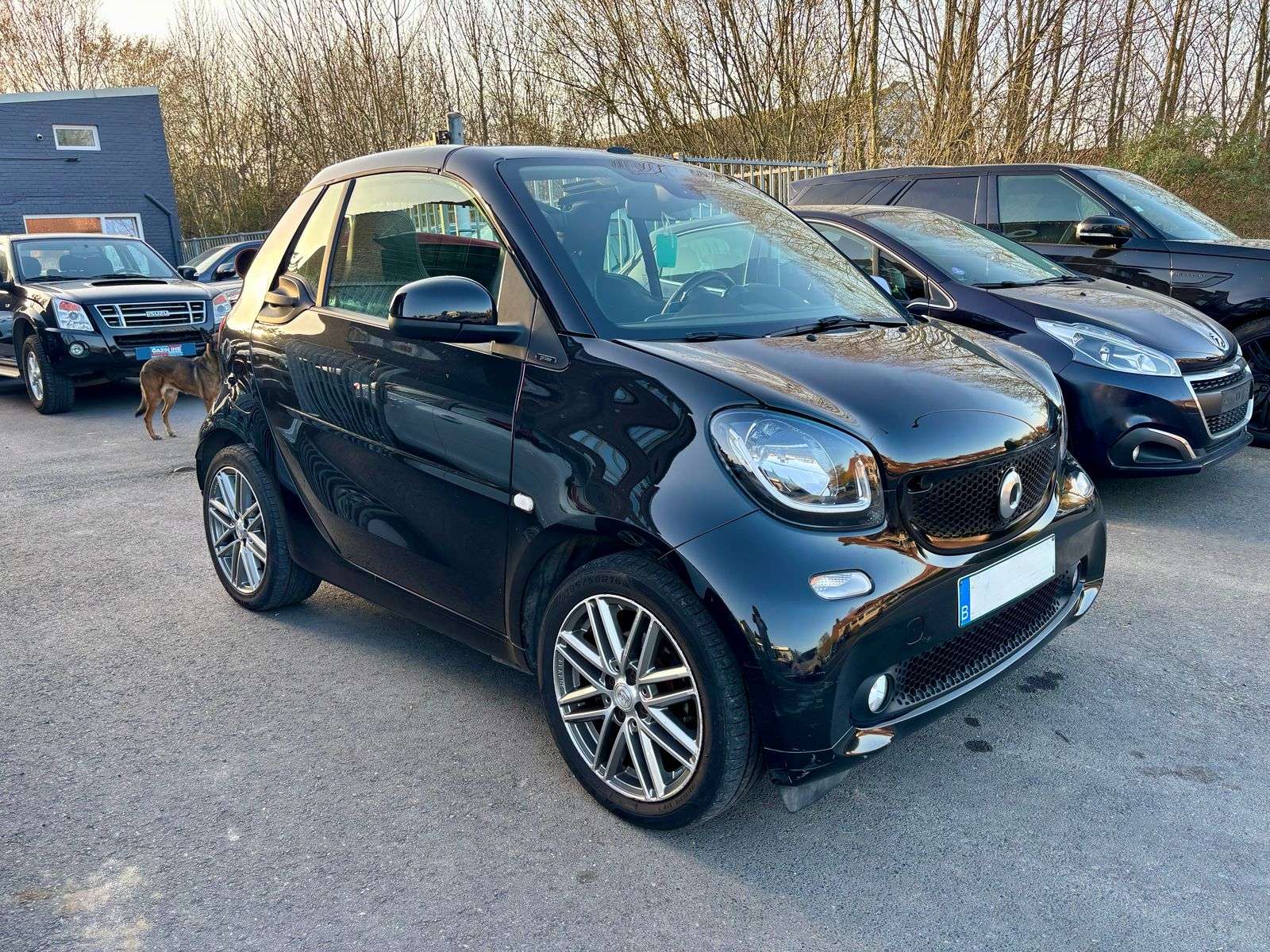 smart forTwo 14.500 Netto/Fortwo Cabrio 0.9 Prime/Brabus Wheel
