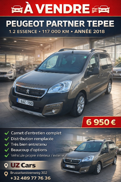 Peugeot Partner Tepee (2) D2 120 MOMENTUM GEARTRONIC 6