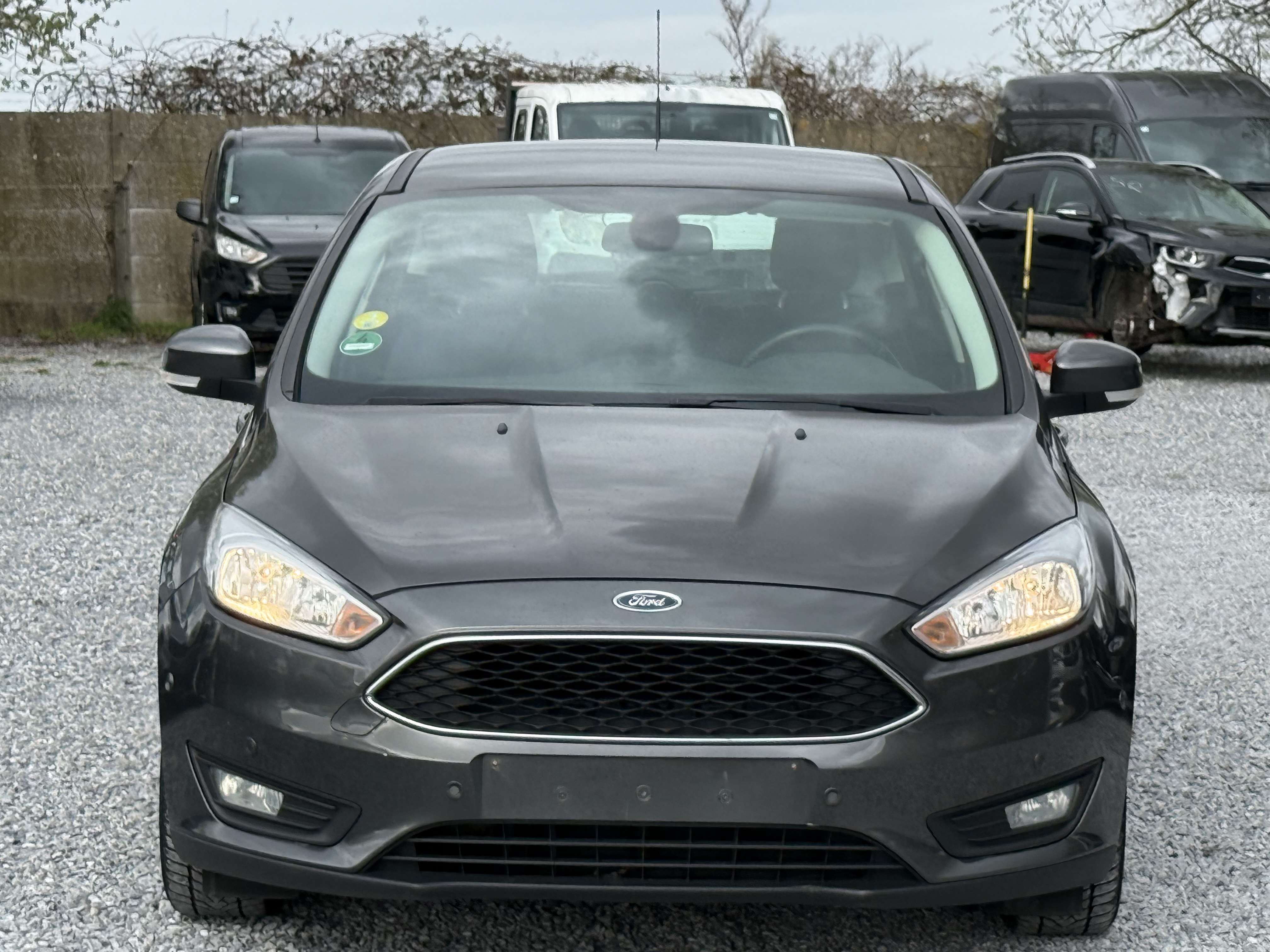 Ford Focus Focus 1.5 TDCi - Euro 6d - 2016 - Carnet entretien