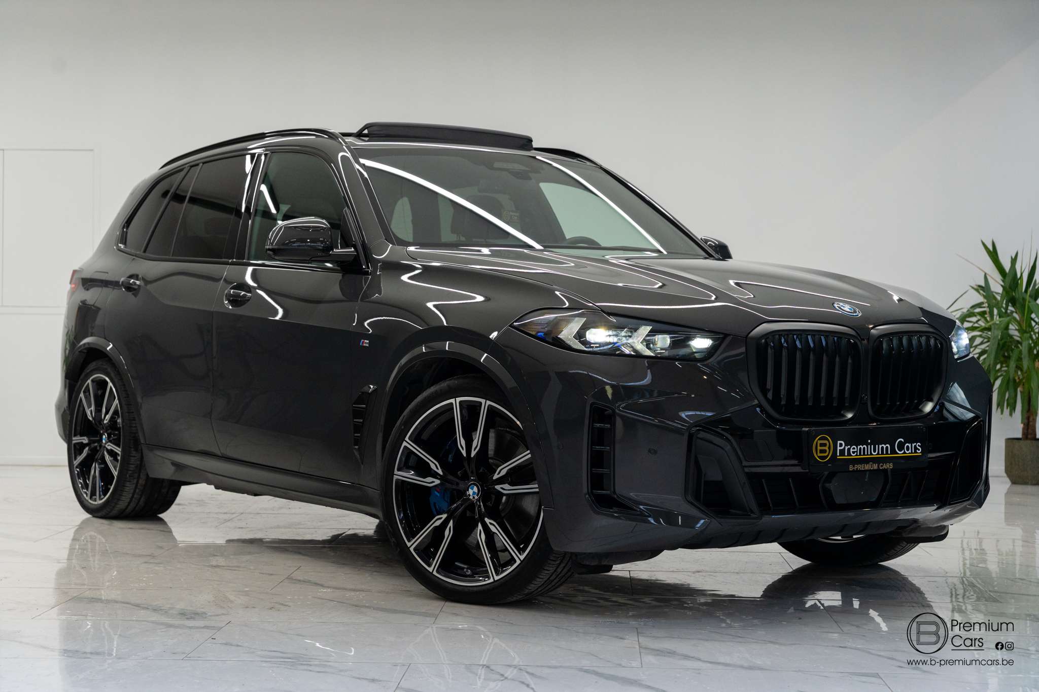 BMW X5 xDrive50e hybrid M pro pack! Pano, H&K, Acc, Hud!