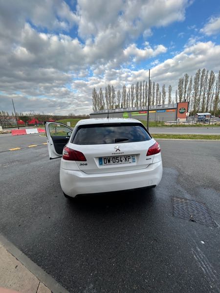 Peugeot 308 II (2) 1.6 BLUEHDI 120 EURO6 S&amp;S ACTIVE BUSINESS