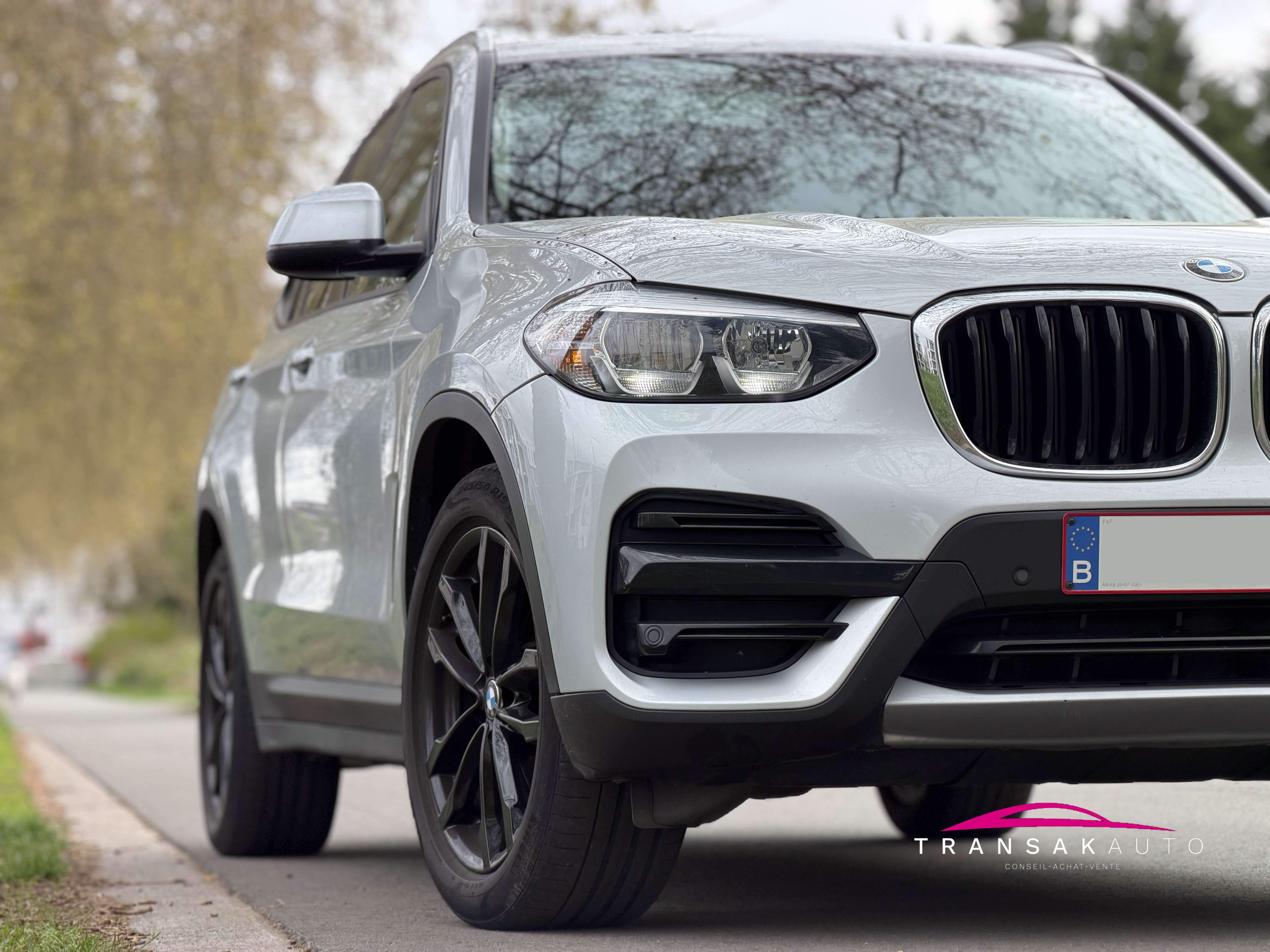 BMW X3 X3 2.0 dA sDrive18 (EU6c)