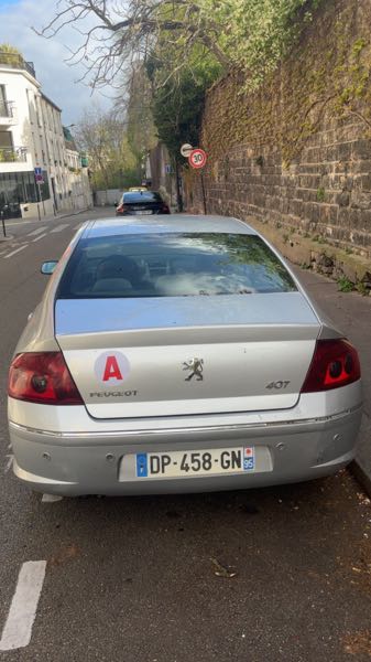 Peugeot 407 2.0 HDI 136 FAP FELINE BVA