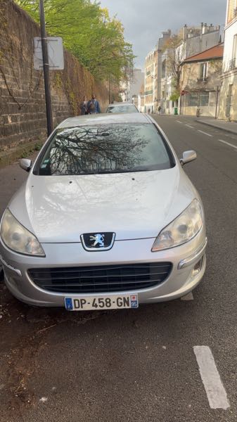 Peugeot 407 2.0 HDI 136 FAP FELINE BVA