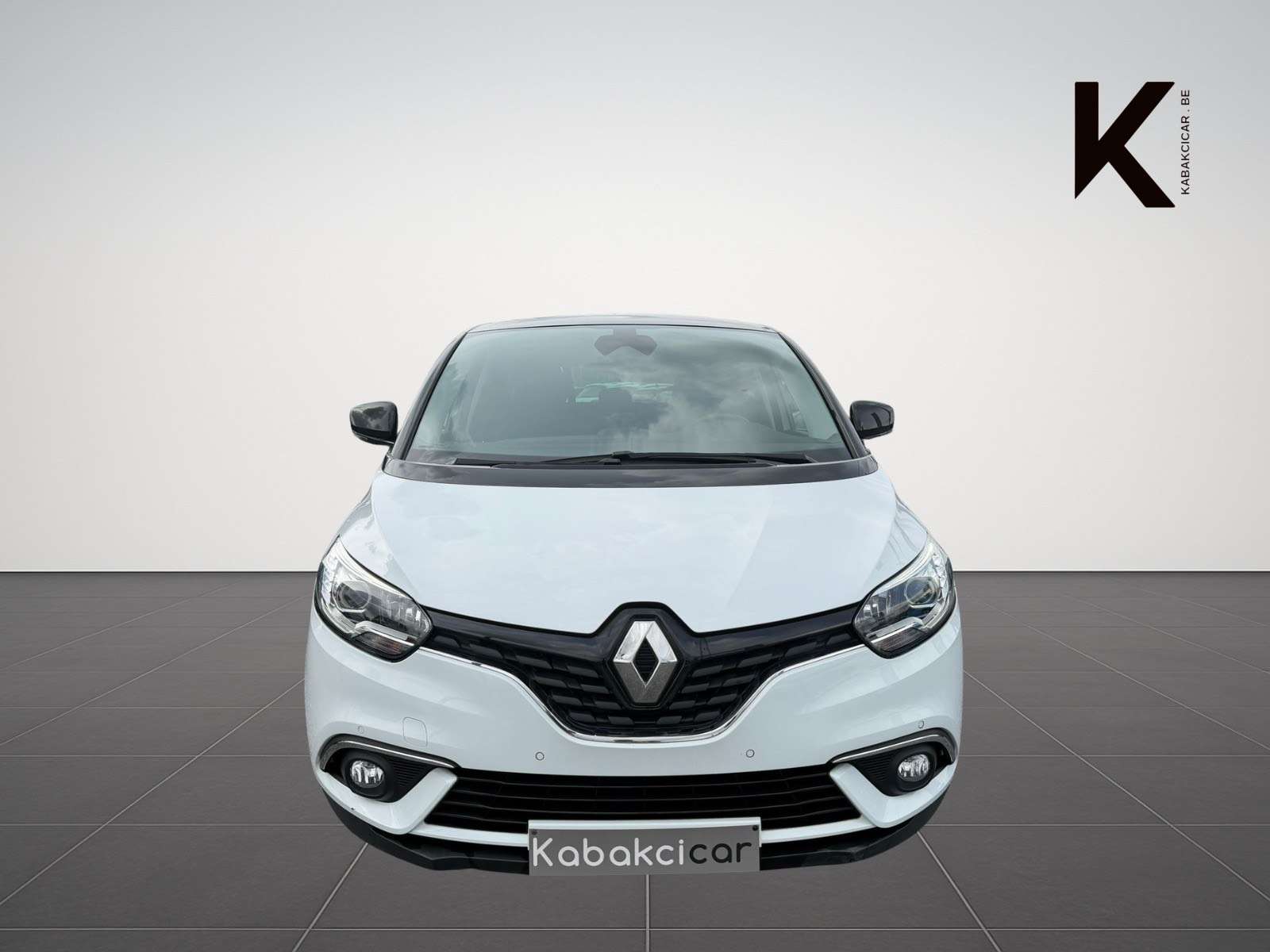 Renault Scenic Scenic 1.33 TCe Limited / Navi / Caméra / Garantie