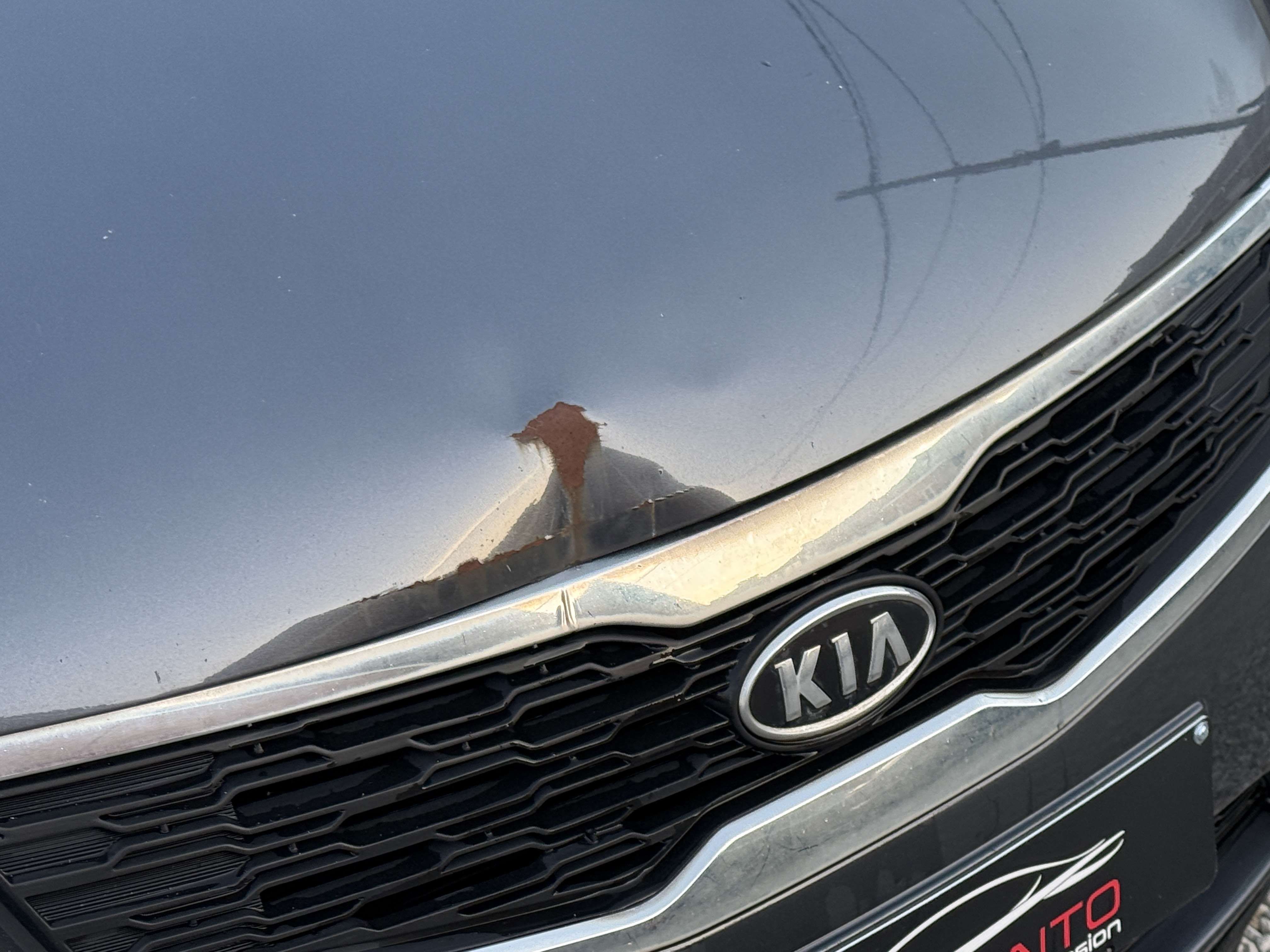 Kia Ceed SW / cee'd SW Cee'd SW 1.6 CRDi EX ISG EcoDynamics ! Export-Marchand !