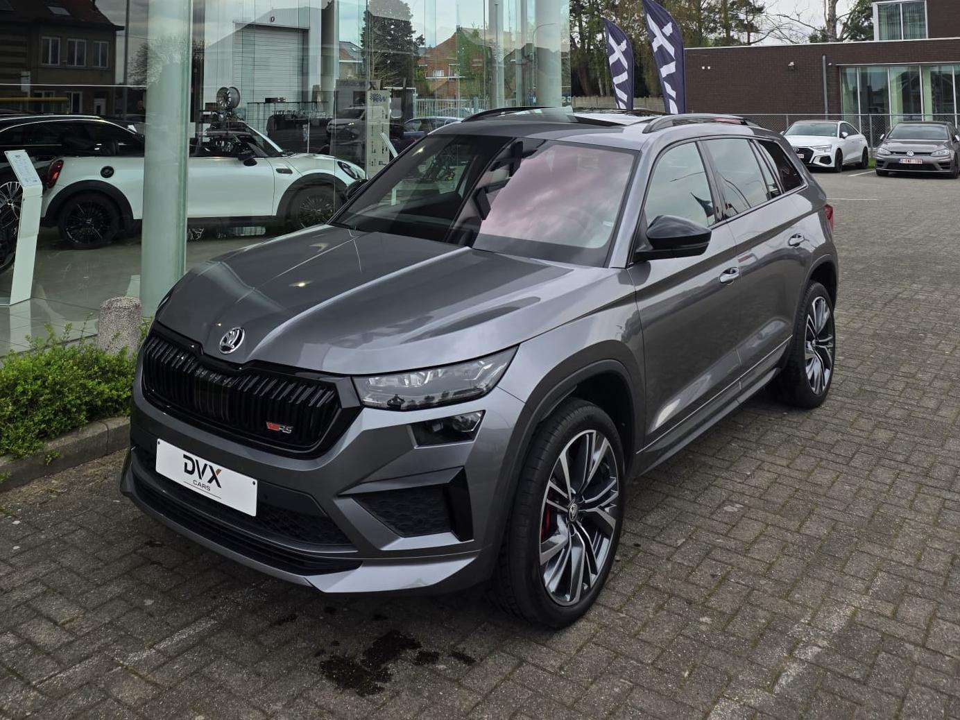 Skoda Kodiaq Kodiaq RS 2.0 TFSi 4x4 DSG/Pano/Keyless/Garantie