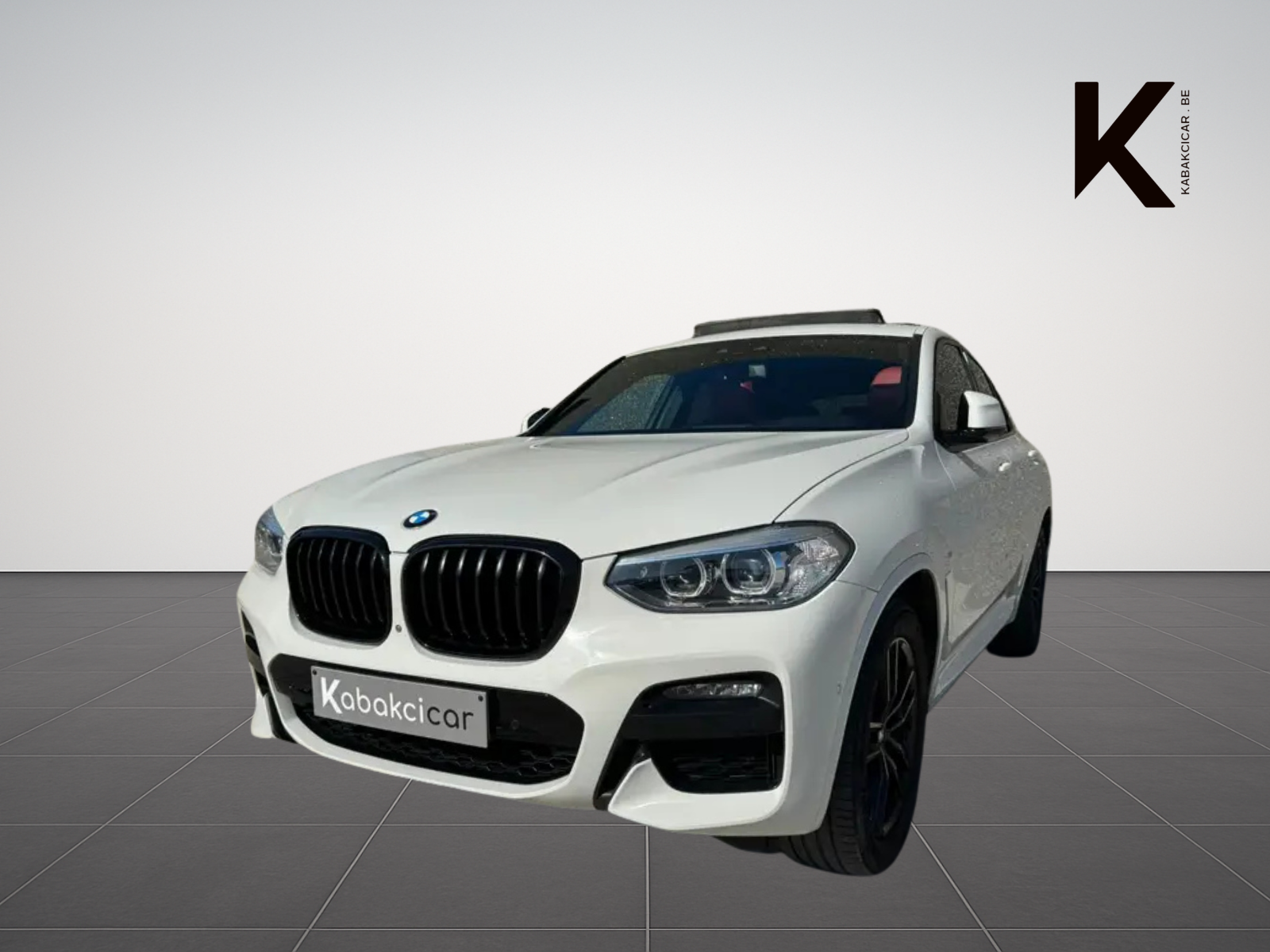BMW X4 X4 2.0 dA xDrive20// PACK M//CAMERA//GARANTIE 12M