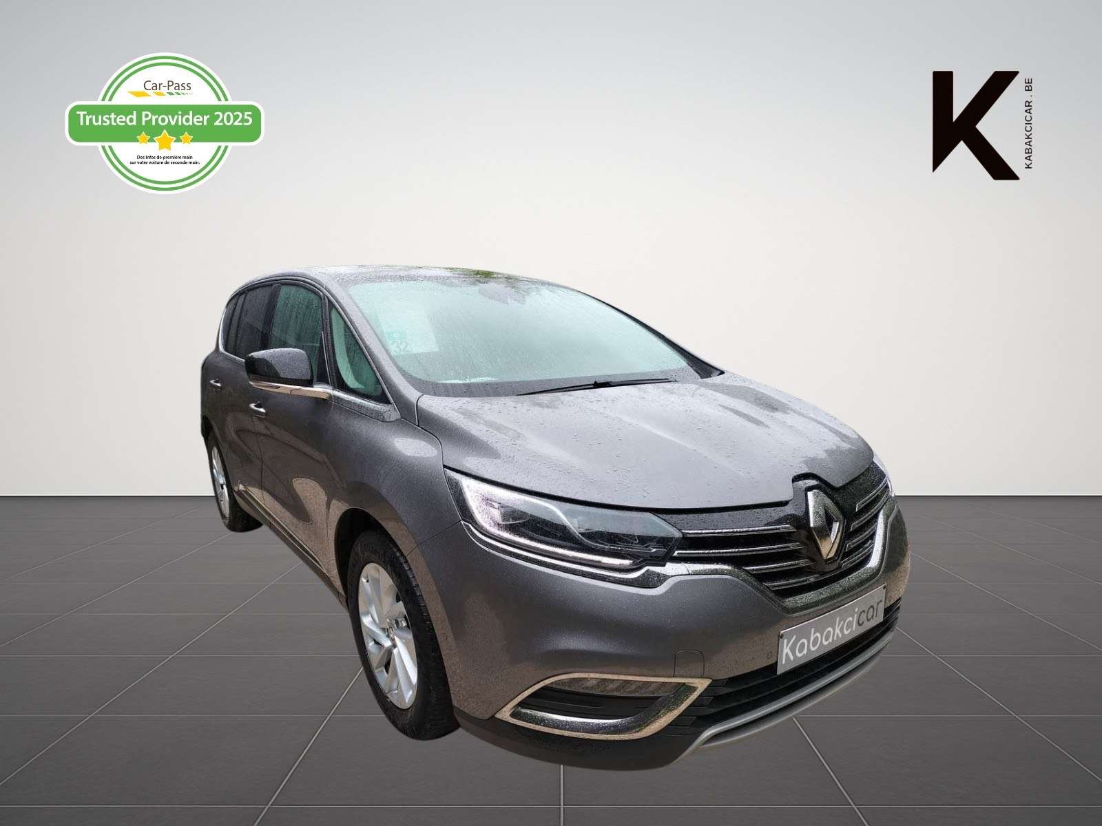 Renault Espace Espace 1.6 dCi Energy Intens / Pano / Caméra / Cui